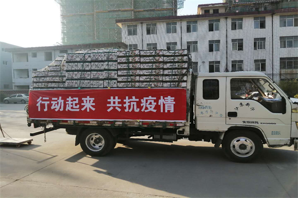 顺泰国际