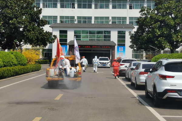 顺泰国际